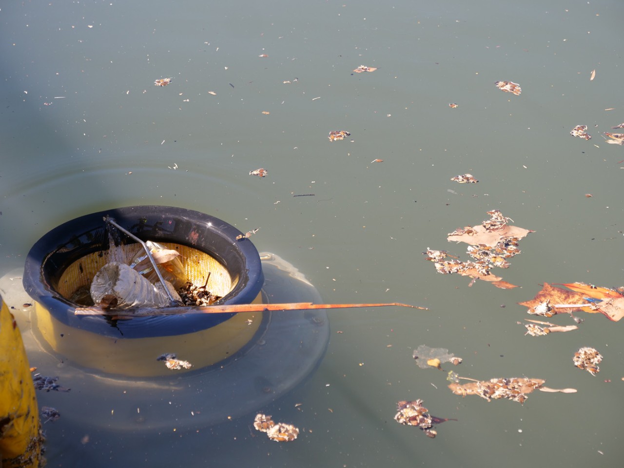 Seabin™ Partnership Kingspan Group